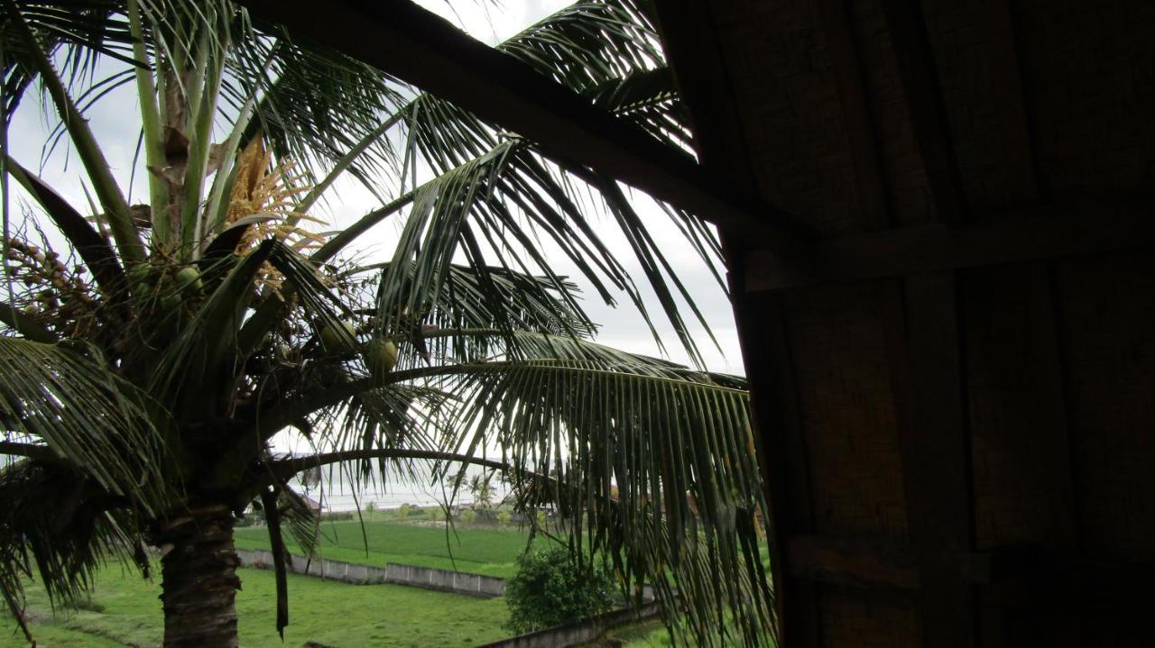 Dikaloha Surfschool And Stay Airsatang Exterior photo